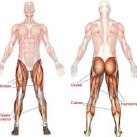 Stretching Tips ; Inner Thigh + (Iliotibial band) ITB